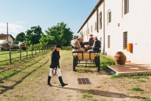 CdM_Servizio_Giugno_2018_00067_low-q
