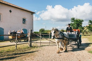 CdM_Servizio_Giugno_2018_00069_low-q
