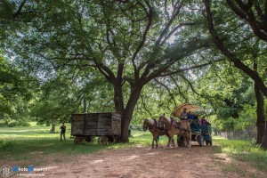 Carrozze di Maremma