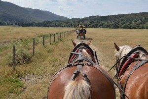 Carrozze di Maremma